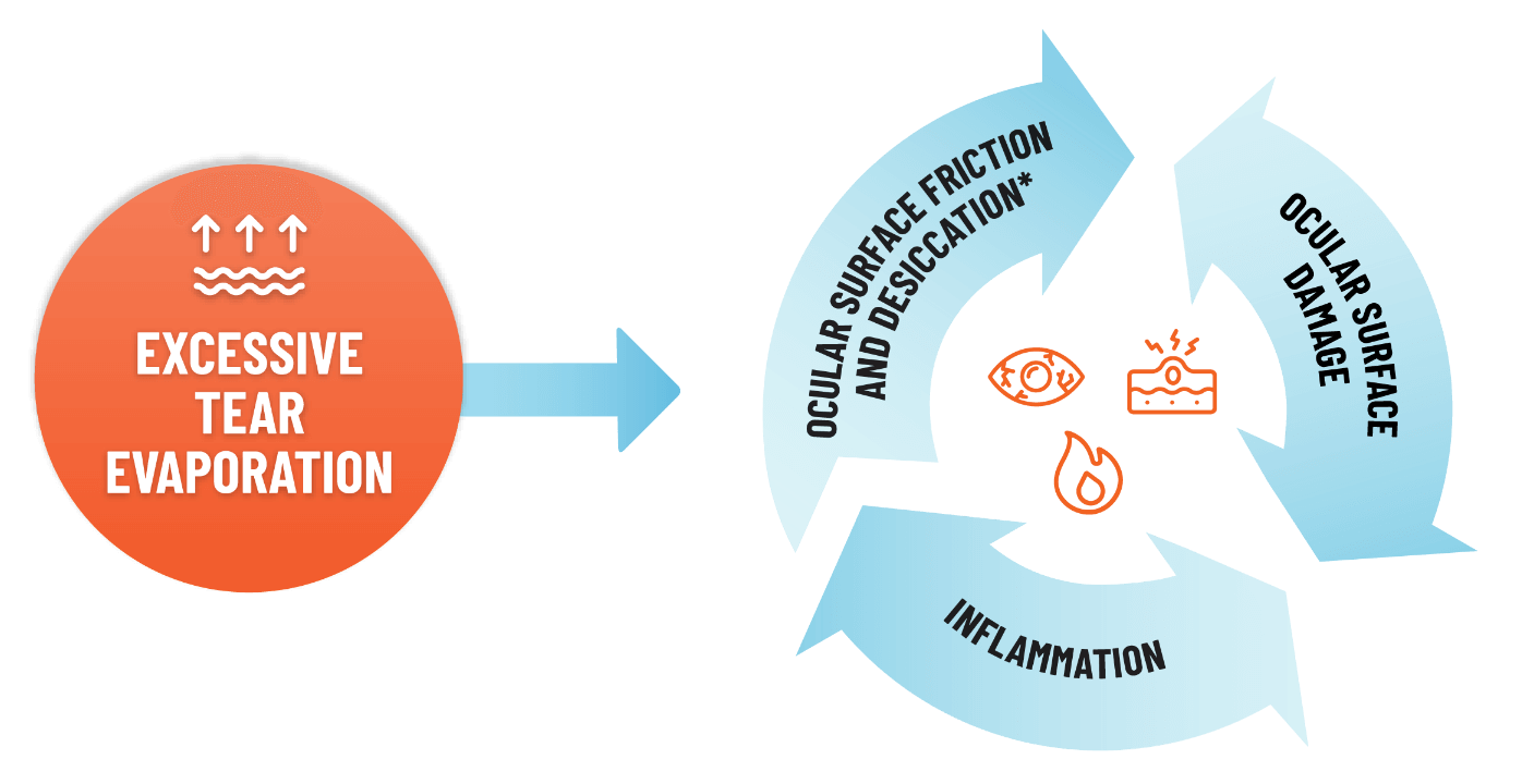 Illustrated cycle of evaporation in DED